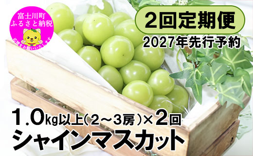 【2027年発送】【２回定期便】頬張る幸福感 ～緑の宝石・シャインマスカット～ 計２ｋｇ（1.0kg以上・２～３房を２回[９月上旬・下旬]お届け）