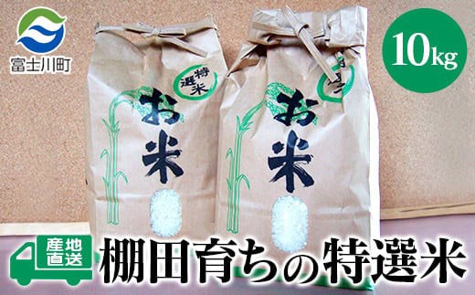 ★令和7年度産★棚田米　特選米（コシヒカリ）10kg