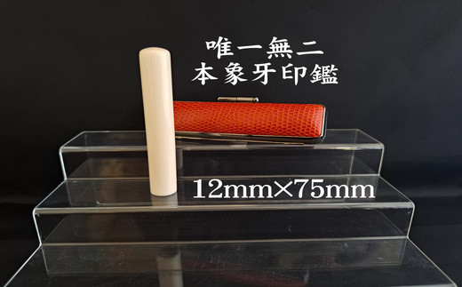 高級本象牙印鑑　長丈（選べる印鑑ケース　印伝柄またはトカゲ（赤・黒）ケース　別珍ケース付き）12.0mm×75.0mm