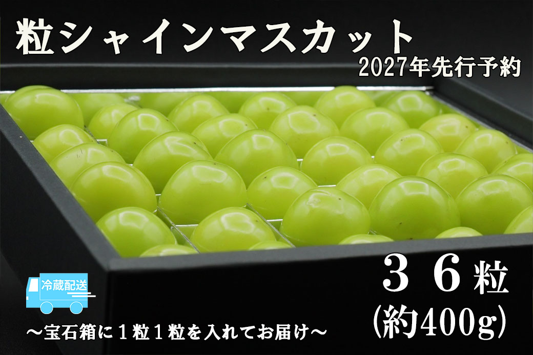【２０２７年発送分 先行予約】《厳選・宝石箱》シャインマスカットひと口BOX(３６粒入り・約400g)※冷蔵発送※