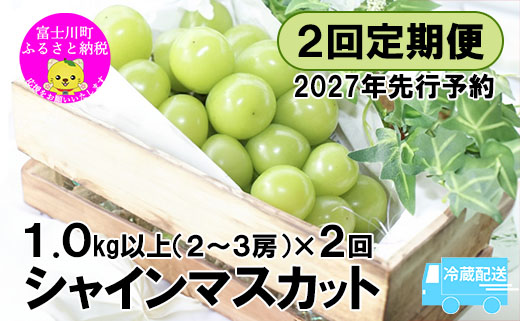 【2027年先行予約】【２回定期便】～緑の宝石・シャインマスカット～ 計２kg  ※冷蔵発送※