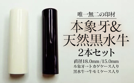 高級本象牙印鑑＆高級黒水牛２本セット（男性向け）