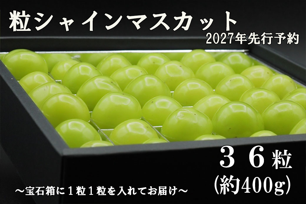 【2027年発送分 先行予約】《厳選・宝石箱》シャインマスカットひと口BOX(３６粒入り・約400g)