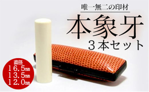 高級本象牙印鑑３本セット