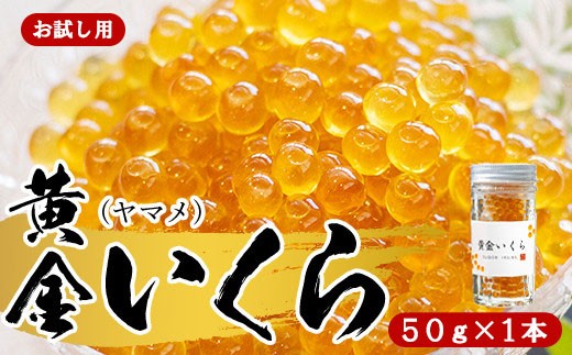 【お試し用】【幻の珍味】「黄金いくら」１本セット