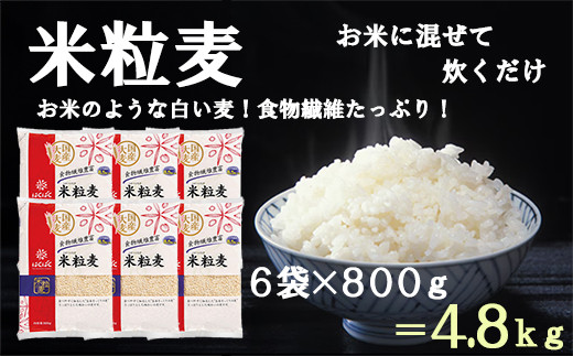 【はくばく】米粒麦 ６袋（１袋８００ｇ）