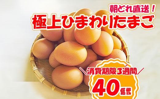 極上ひまわりたまご（40個程度）※破卵補償10個含