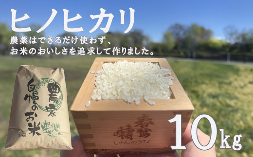 ヒノヒカリ 10kg