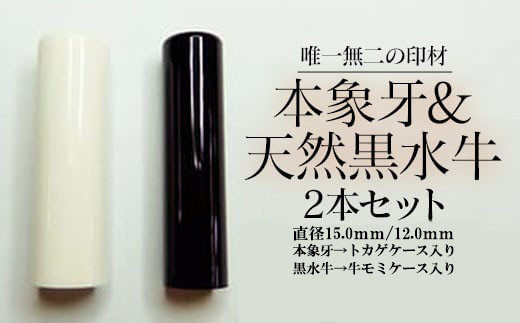 高級本象牙印鑑＆高級黒水牛２本セット（女性向け）