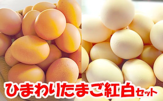 農林水産大臣賞受賞！ひまわりたまご紅白セット（40〜45個）※破卵補償10個含