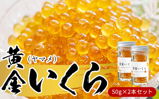 黄金いくら2本セット