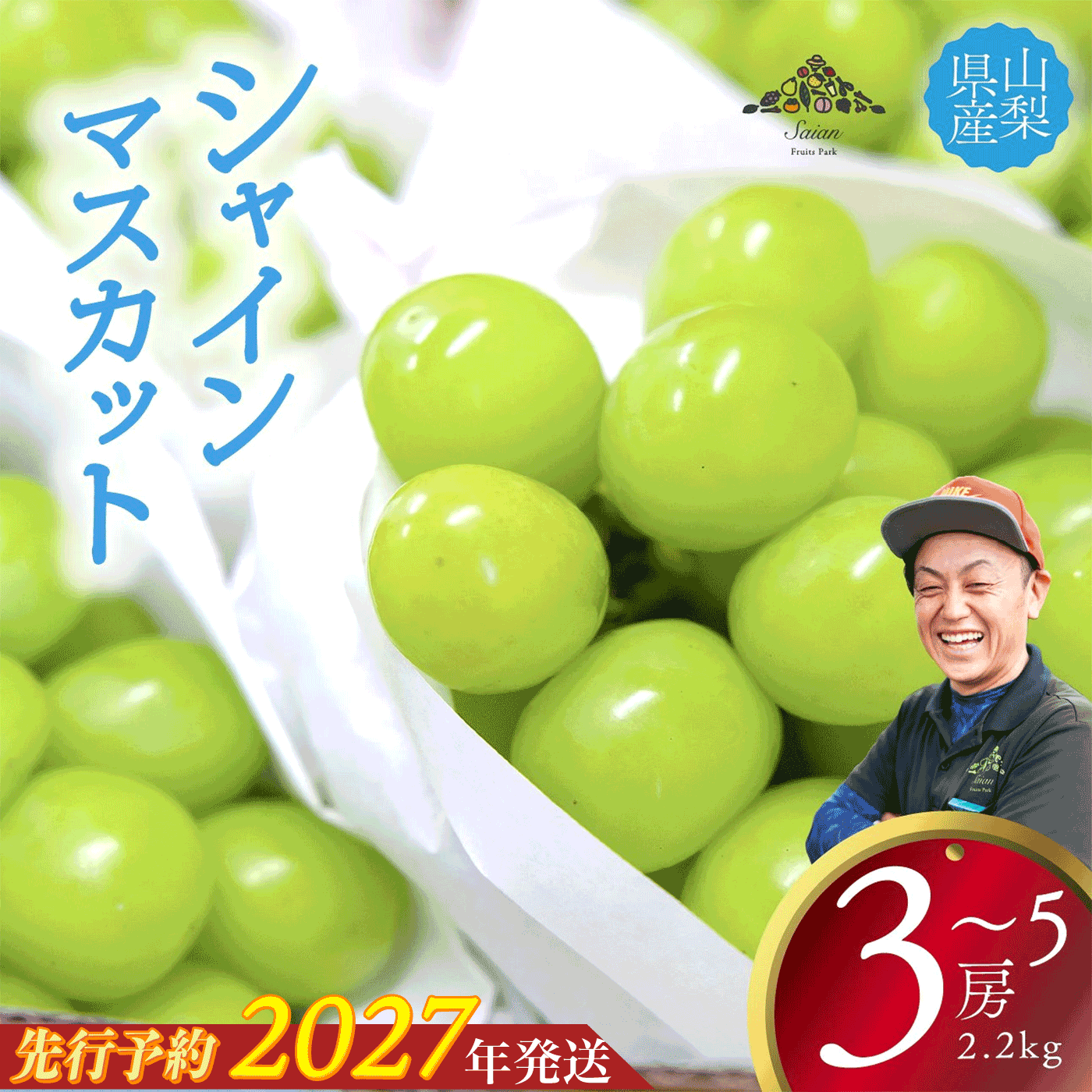 【2027年発送分 先行予約】 シャインマスカット 約2.2kg（3～5房） 8月中旬以降発送予定