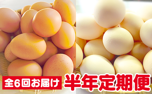 ひまわりたまご紅白セット定期便６回
